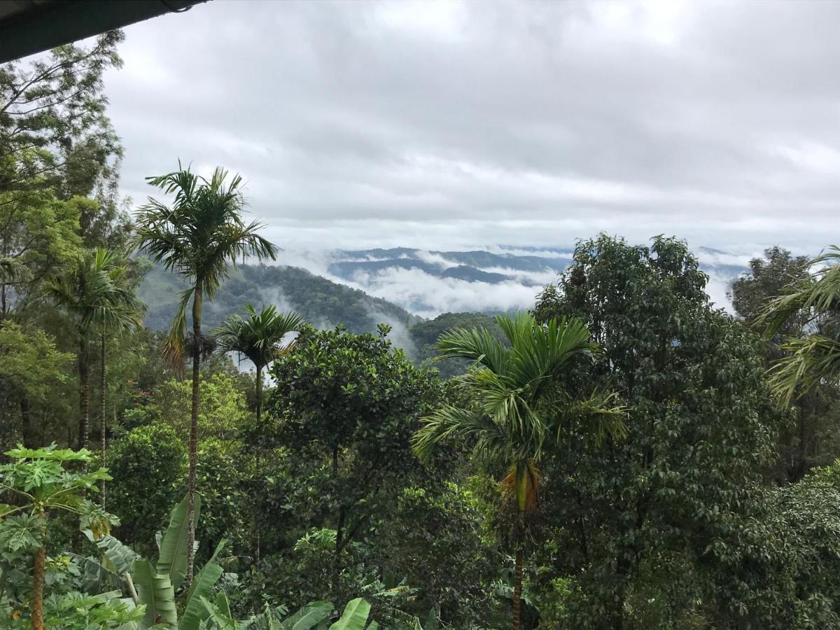 Вилла Munnar Nature Dale Экстерьер фото