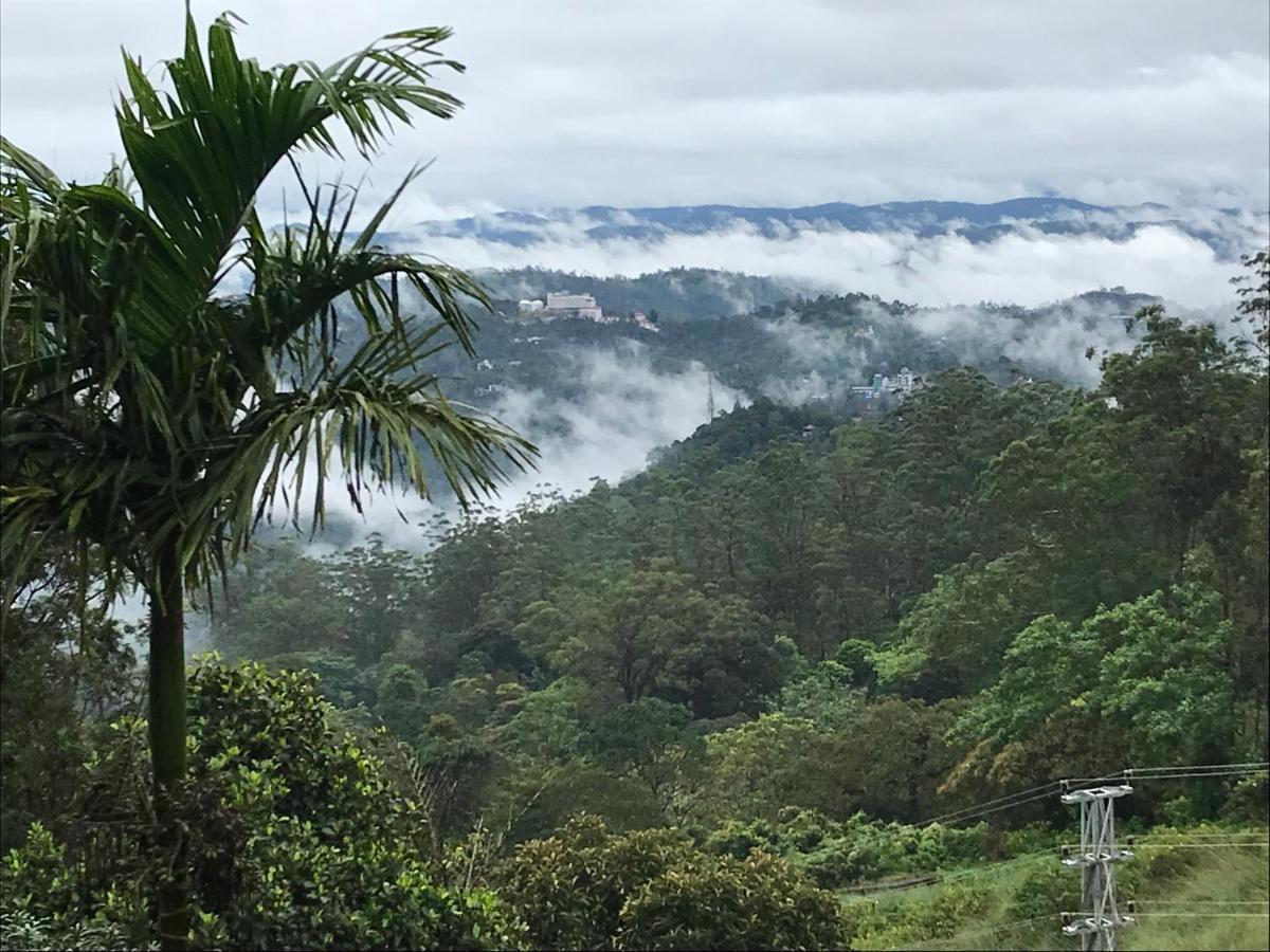 Вилла Munnar Nature Dale Экстерьер фото